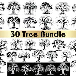 Tree silhouette svg, SVG files for cricut, Tree silhouette, Tree png, Silhouette svg, Redwood tree, Oak tree, Willow tree, Nature svg, Tree