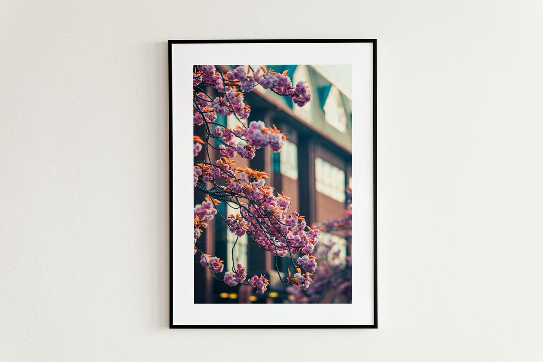Printable Wall Art Print Kwanzan Cherry Tree Photography Print Art ...