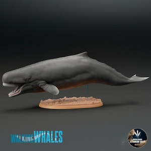 Livyatan melvillei, Miniature to scale; Replicas of Extinct Fauna of the Cenozoic in Resin to paint