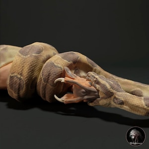 Resin Diorama with Burmese Python and Muntiacus: Paintable Miniatures of Modern Fauna in Detailed Replicas