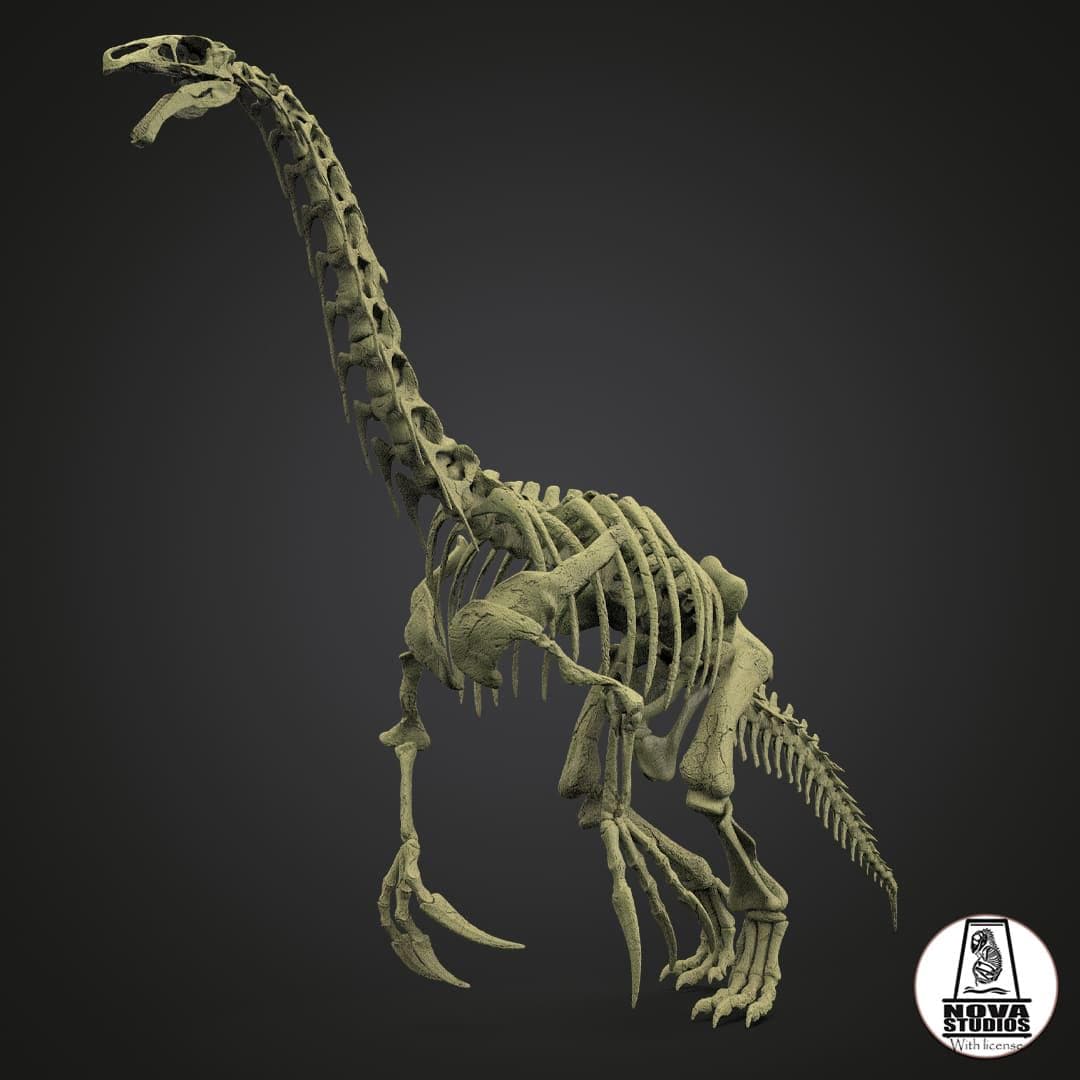 Detailed Skeleton Of Therizinosaurus Extinct Fauna Of The Mesozoic In detailed-skeleton-of-therizinosaurus-extinct-fauna-of-the-mesozoic-in