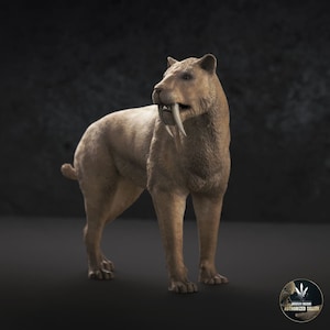 May include: A realistic model of a saber-toothed cat, also known as a Smilodon, standing on a dark background. The model is made of a light brown material and has long, sharp teeth.