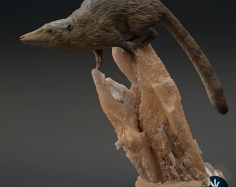 Eozostrodon parvus Miniature to Paint: Detailed Replica of the Small Permian Synapsid