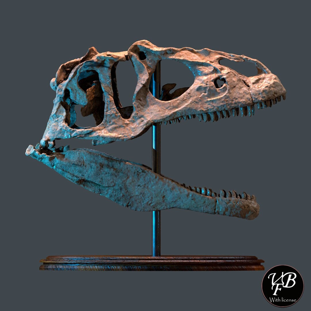Replica Deinonychus Skull — Skulls Unlimited International, Inc.