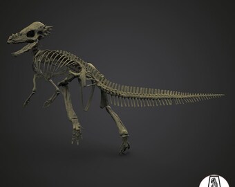 il_340x270.6413296848_e8e5.jpg
