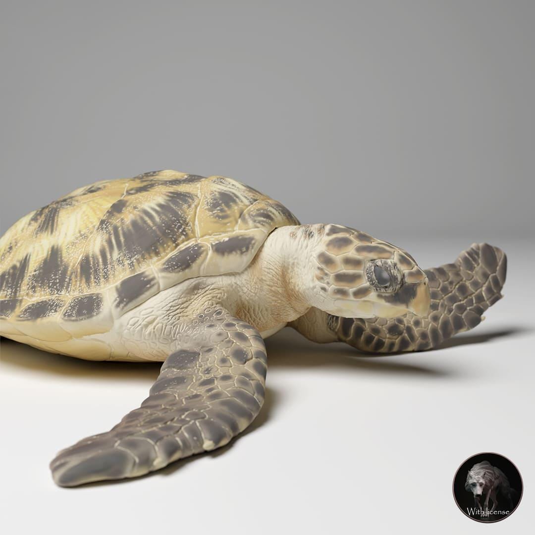 Eretmochelys Imbricata (hawksbill Turtle) Miniature to Paint: Detailed ...