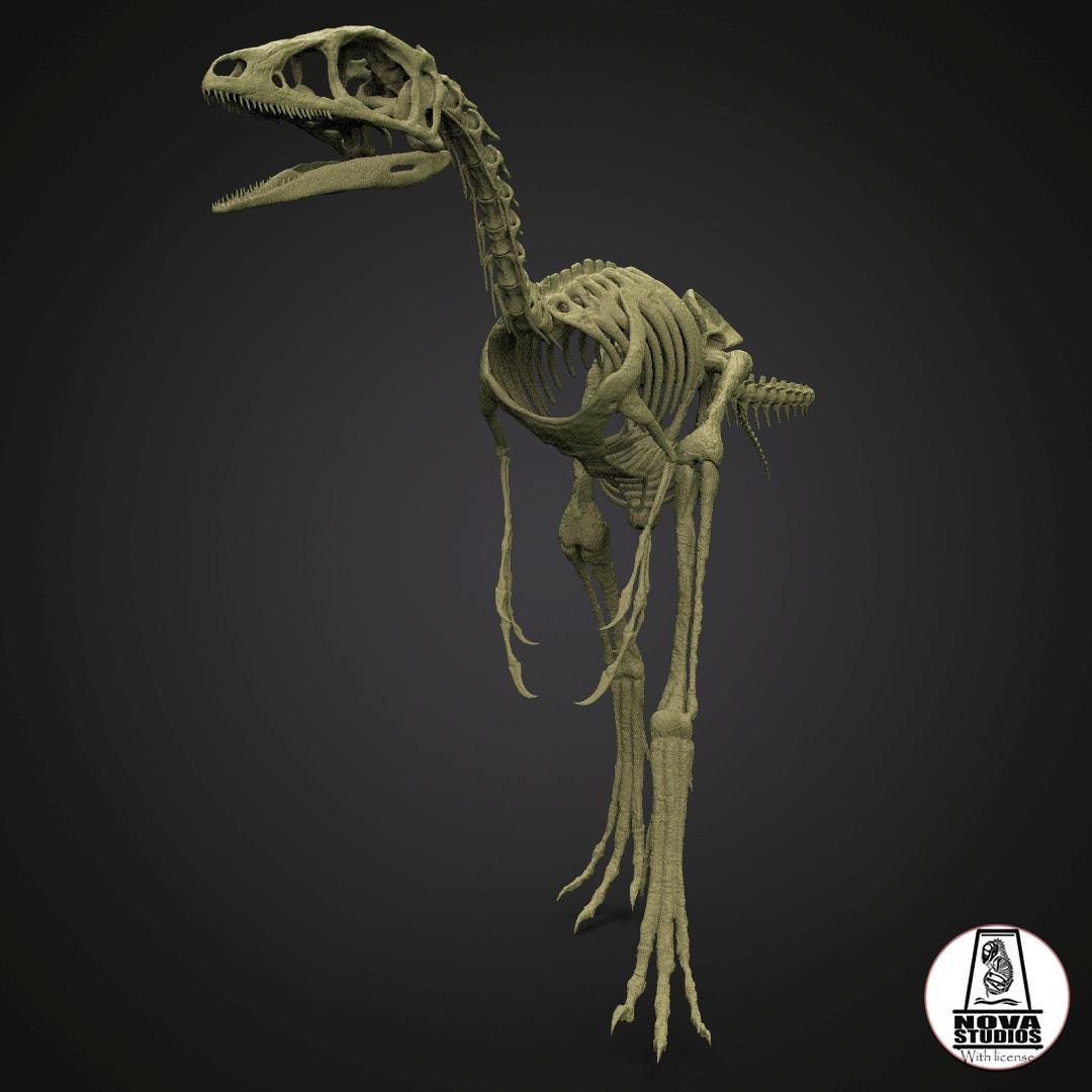 Compsognathus Longipes Skeleton: Extinct Fauna of the