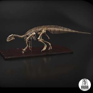May include: A detailed dinosaur skeleton model, showcasing the skeletal structure of a prehistoric creature. The model is a light beige color and is mounted on a dark brown rectangular base. The background is a dark gray.