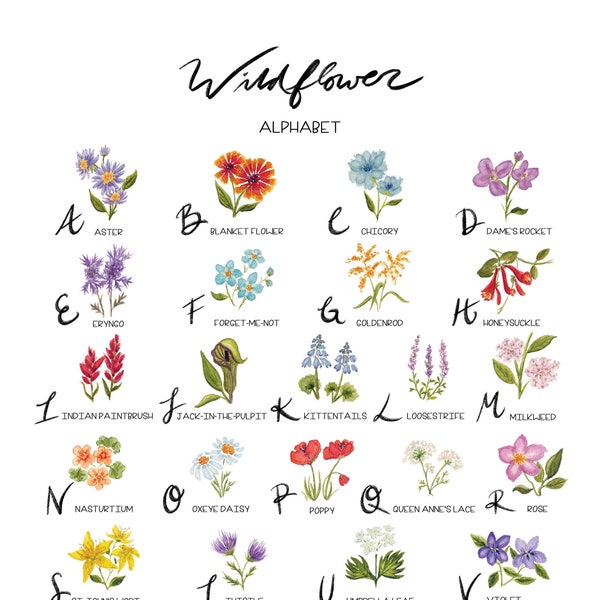 Wildflower Alphabet Watercolor Print; Nursery Decor, Home Decor, Office Decor, ABCs, botanical, floral, nature