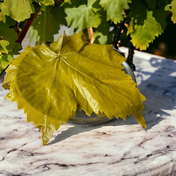 Pickled Fresh Vine Leaves, Grape Leaves for Stuffing, Aegean Grape Leaf, Vacuum-Packed Grape Leaves