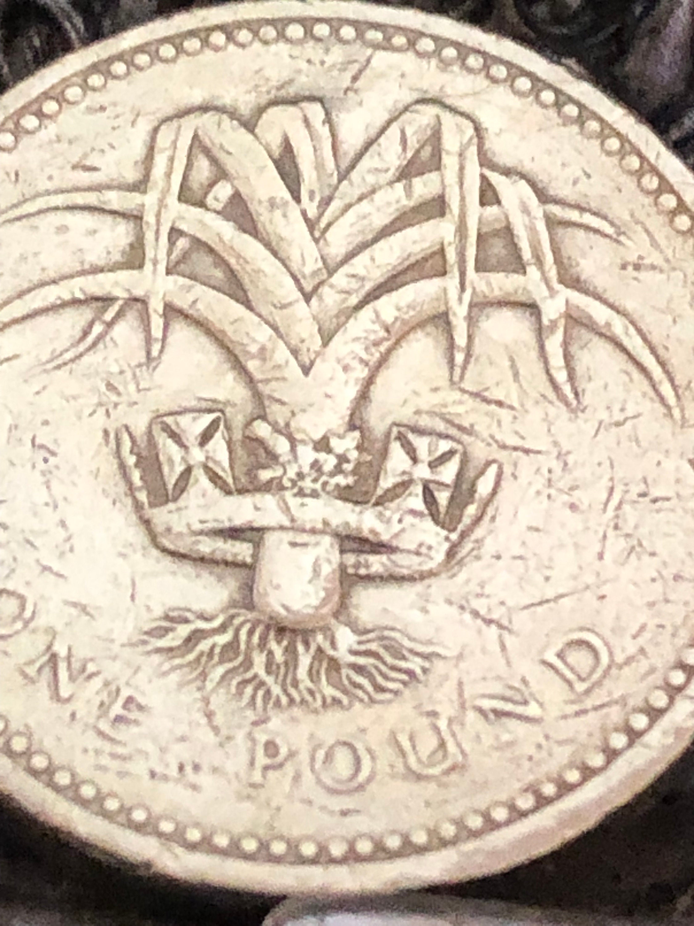 how-many-ounces-in-a-pound-becentsational