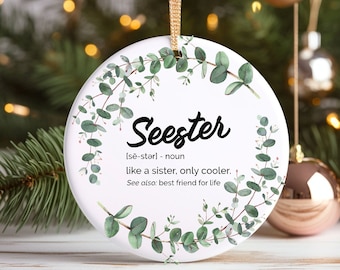 Sister Christmas Ornament  Seester Noun Definition Gift for Best Friend Funny Saying Perfect for Best Friends Long Distance Friendships