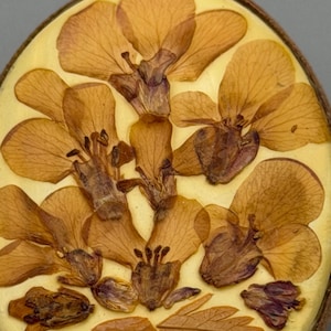 May include: Oval-shaped pendant featuring pressed, dried flowers in shades of brown and purple, set against a creamy yellow background. The flowers are arranged in a symmetrical pattern, encased in a clear resin. The pendant is framed by a dark brown border.