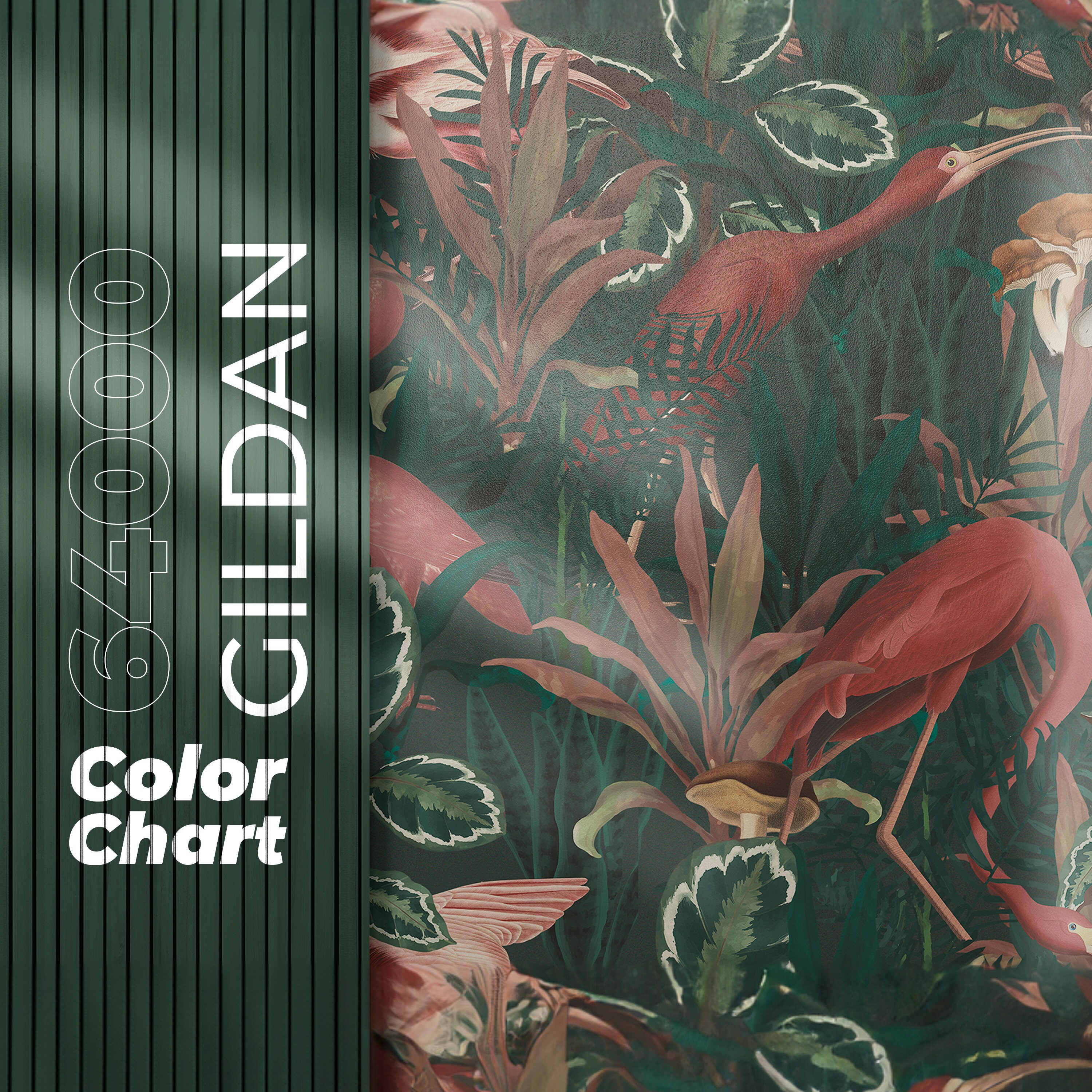 Buy Gildan 64000 Size Chart and Color Chart, Key Features Listing Files ...