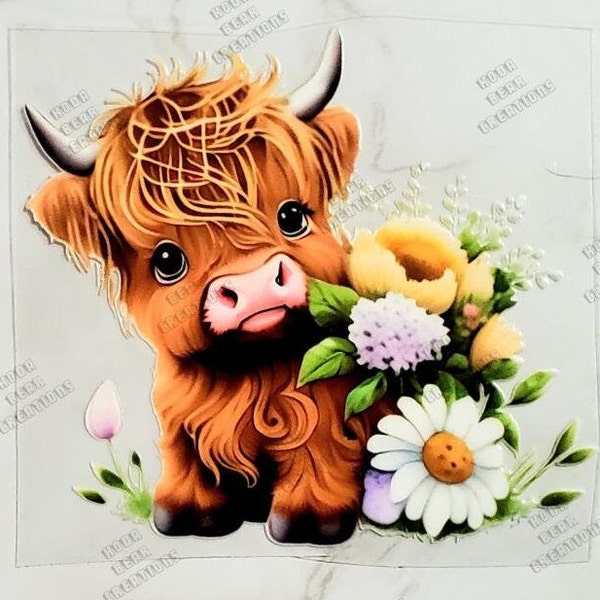Highland Cow UV DTF Decal