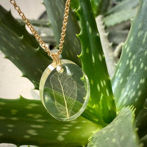 May include: A gold chain necklace with a clear round pendant featuring a delicate, pressed leaf. The pendant is suspended from the chain with a gold jump ring.