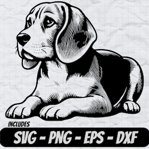 Beagle Hund SVG-Design, niedlicher Hund PNG Clipart, Sublimationsdesign, Cricut-Schnitt-Dateien, Lasergravur-Dateien, T-Shirt-Designs, Hunde Illustration