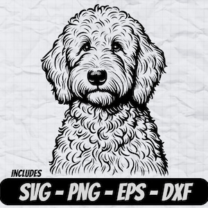 Goldendoodle Svg-ontwerp, hond PNG-clipart, sublimatieontwerp, Cricut-gesneden bestanden, lasergravurebestanden, T-shirtontwerpen, hondlogo vector