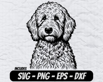 Goldendoodle Svg Design, Dog PNG clipart, Sublimation Design, Cricut Cut Files, Laser Engraving Files, T-shirt Designs, Dog Logo Vector