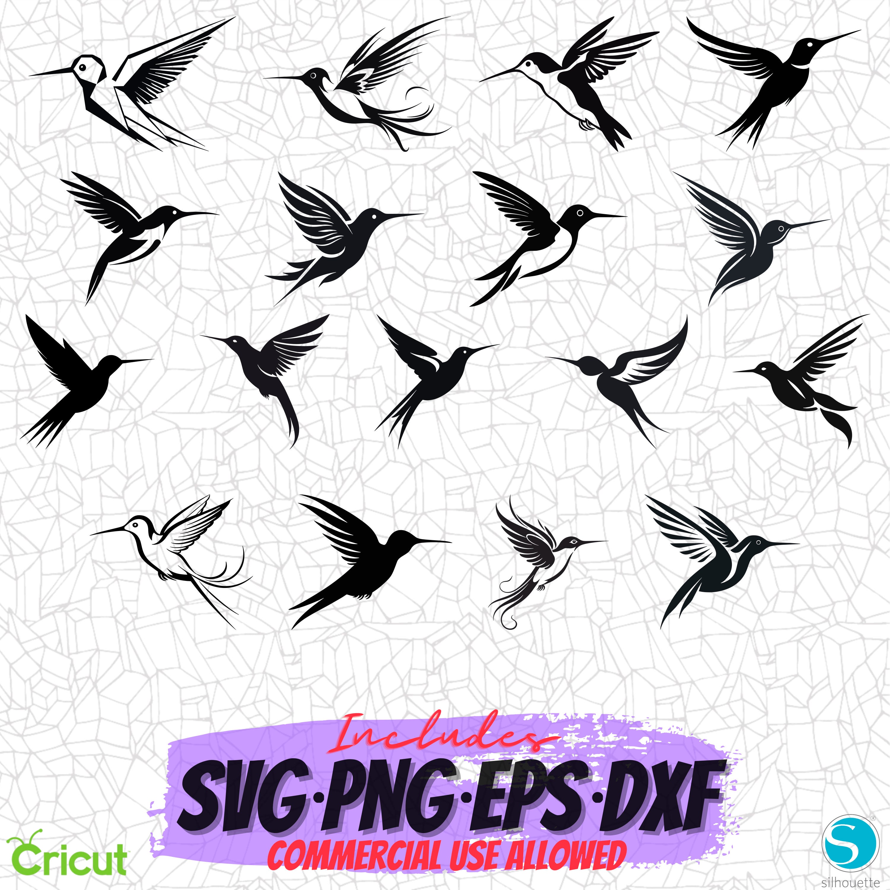 Colibi Svg Colibrí Svg Archivos PNG Clipart Diseños de sublimación - Etsy España