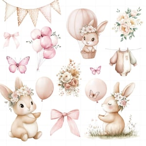 May include: A collection of watercolour illustrations featuring bunnies, balloons, butterflies, and floral arrangements in soft pink and beige hues. Includes a bunny in a hot air balloon and a polka dot banner. Ideal for baby-themed events.