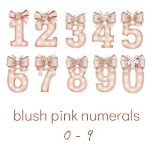 May include: A set of blush pink illuminated numerals from 0 to 9, each decorated with a bow and floral arrangement. The numbers are a soft pink, with small lights inside. The text "blush pink numerals 0-9" is displayed below the numbers.