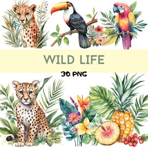 Tropical Jungle Clipart, Wild Animals Clipart, Jungle Birds, Leopard, Tropical Flowers Clipart