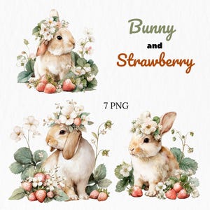 Aquarelle lapins et fraises Clipart, Clipart lapin, clipart décoration de chambre d'enfant, baie premier Clipaer, aquarelle fraise Clipart, 7 PNG