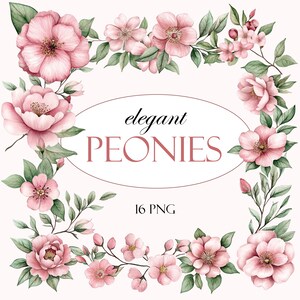 Aquarel bloemen clipart, roze bloemen clipart, roze pioenrozen clipart, transparante achtergrond, 16 png