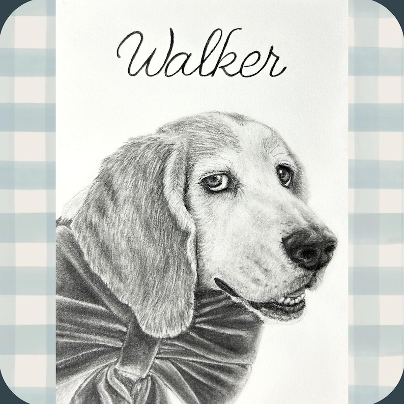 Custom Hand Drawn Graphite Pet Portraits - Etsy