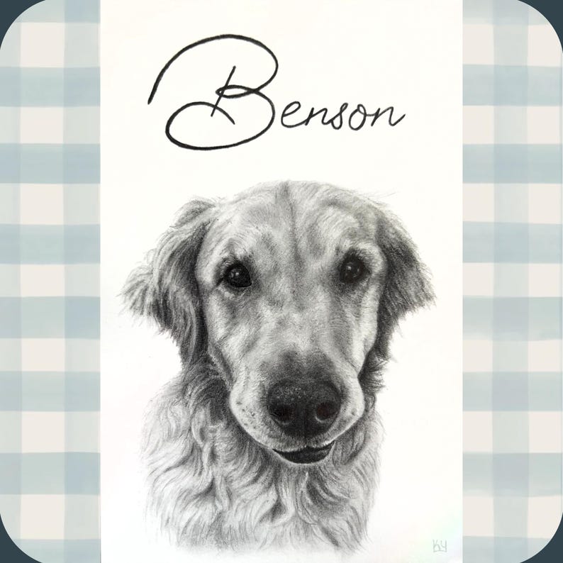 Custom Hand Drawn Graphite Pet Portraits - Etsy