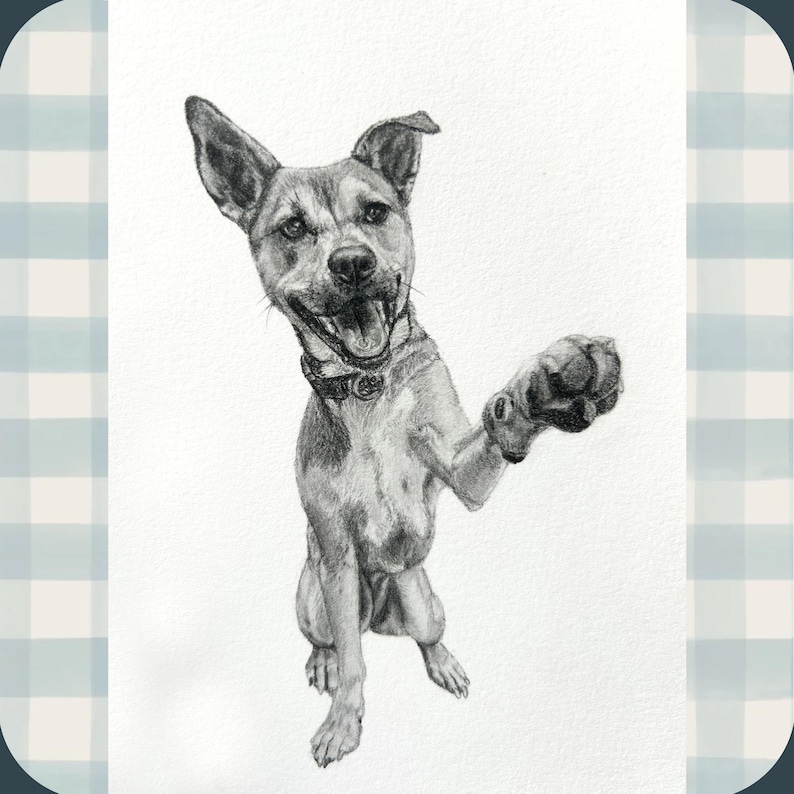 Custom Hand Drawn Graphite Pet Portraits - Etsy