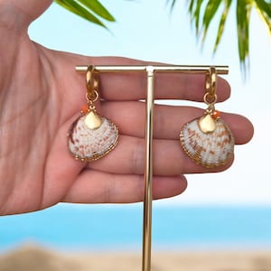 May include: A pair of gold hoop earrings with a seashell charm. The seashells are white with brown markings and have a gold accent. The earrings are hanging from a gold stand.