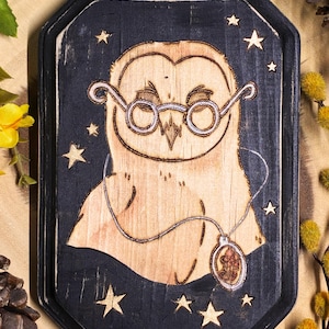 May include: Wooden plaque featuring a smiling owl wearing glasses and a pendant necklace. The owl is light brown, set against a black background with star accents. The plaque has a dark, distressed frame.