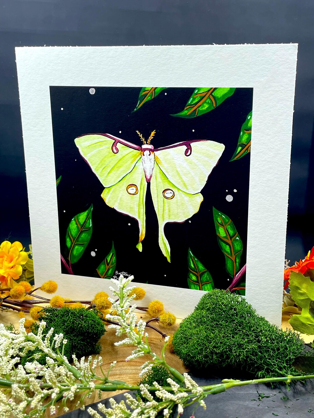 Watercolor Luna Moth Painting Print, Insect Painting, Bug Painting ...
