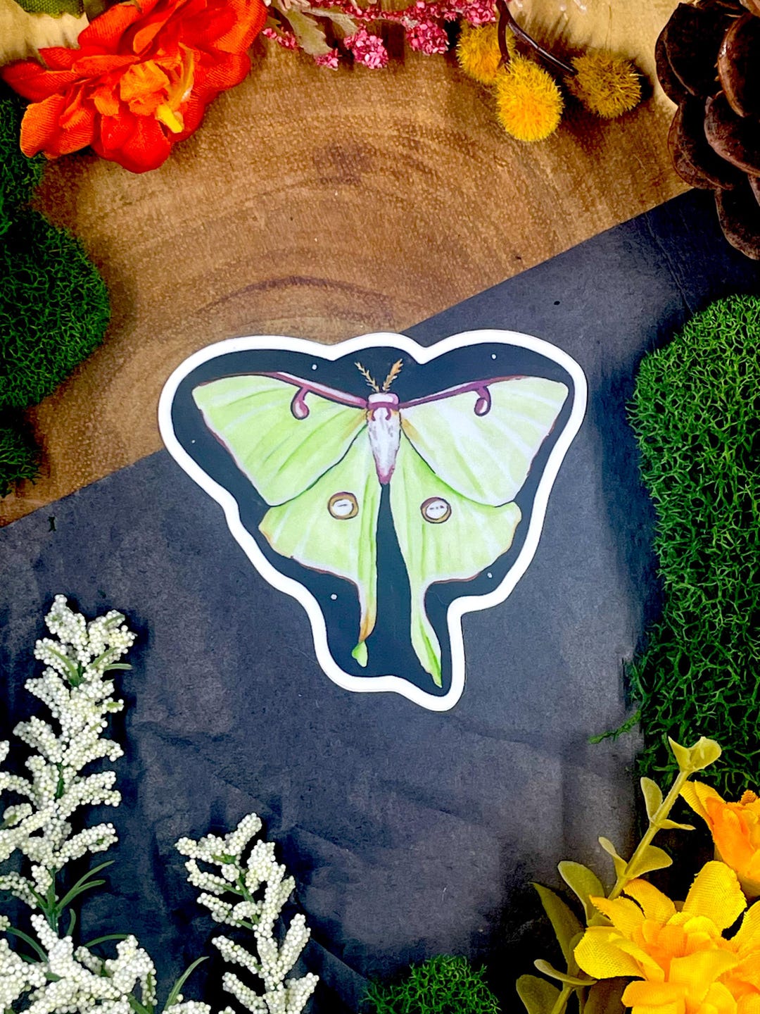 Luna Moth Matte Watercolor Sticker, Waterproof, Dishwasher Safe, Bug ...