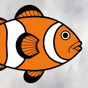 Clownfish SVG PNG – Cute Orange Fish Clipart – Ocean Animal for Cricut & Print