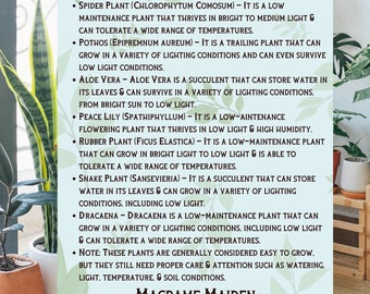 Easy Plants To Grow Plant Lover Plant Gift Digital Plant, Macrame Digital PDF Plant Lover Plant Printout Gift For Her Gift For Plant Lover