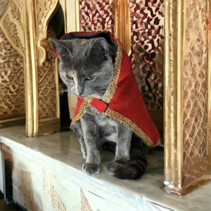 Cape avec capuche pour chat et petit chien Style Oriental Selham Facile à Enfiler, pour les occasions de lEid image 2