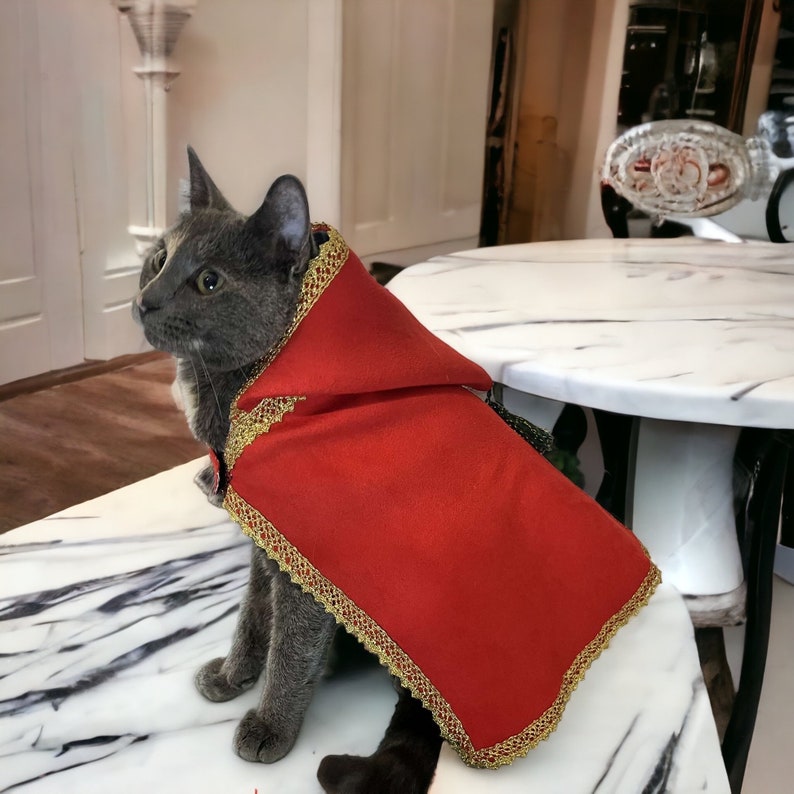 Cape avec capuche pour chat et petit chien Style Oriental Selham Facile à Enfiler, pour les occasions de lEid image 1