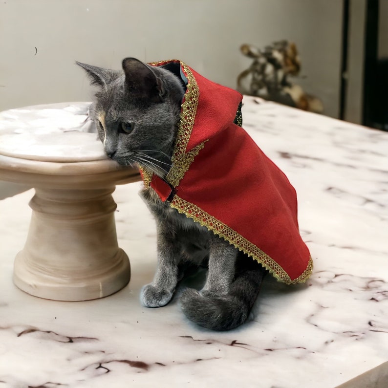 Cape avec capuche pour chat et petit chien Style Oriental Selham Facile à Enfiler, pour les occasions de lEid image 5