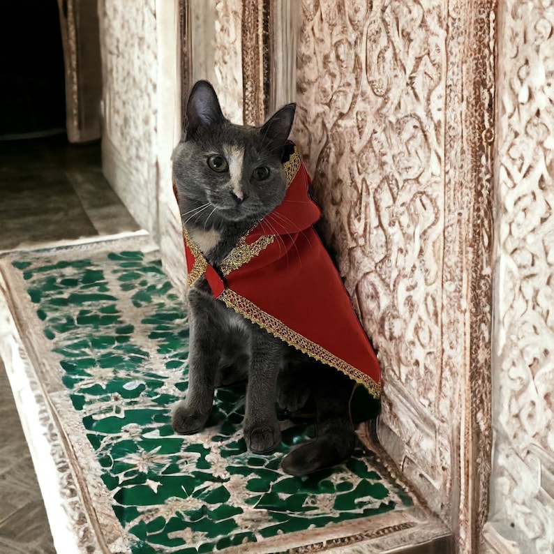 Cape avec capuche pour chat et petit chien Style Oriental Selham Facile à Enfiler, pour les occasions de lEid image 4