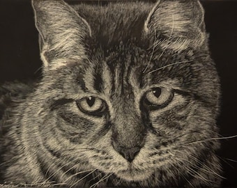 May include: A detailed scratchboard drawing of a tabby cat face against a solid black background. The artwork features white etched lines capturing the cat's fur texture, whiskers, and expressive eyes. The artist's signature is visible in the corner.