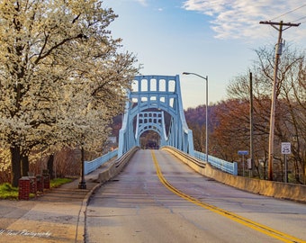 McKeesport - Boston Bridge With Bradford Pear Trees along Walnut Street on Sunny March Morning from Versailles Side of Youghiogheny River