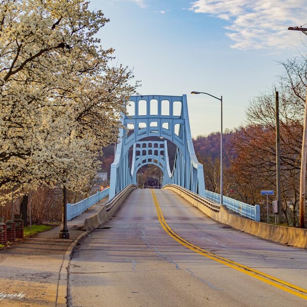 McKeesport - Boston Bridge With Bradford Pear Trees along Walnut Street on Sunny March Morning from Versailles Side of Youghiogheny River