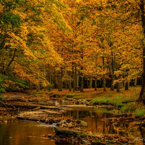 Peaceful Autumn Scene at Mingo Creek Park