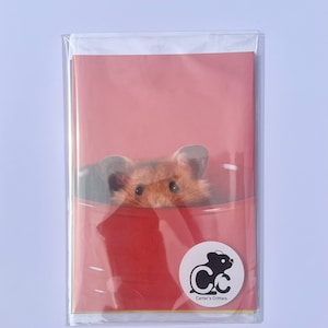 Hamster Regenbogen Postkarten