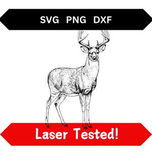 Whitetail Deer Buck Laser Engraving Files SVG PNG DXF Realistic Detailed