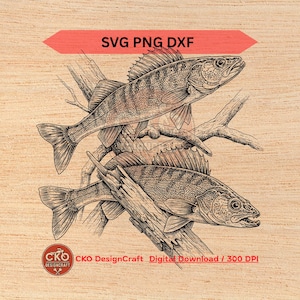 Walleye svg dxf png Realistic Detailed Fish igital Download Laser Files