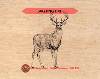 Weißwedelhirsch svg dxf png Antlered Detaillierter Buck Digitaler Download Laserdateien